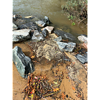 King tide Williamsburg in James city County image